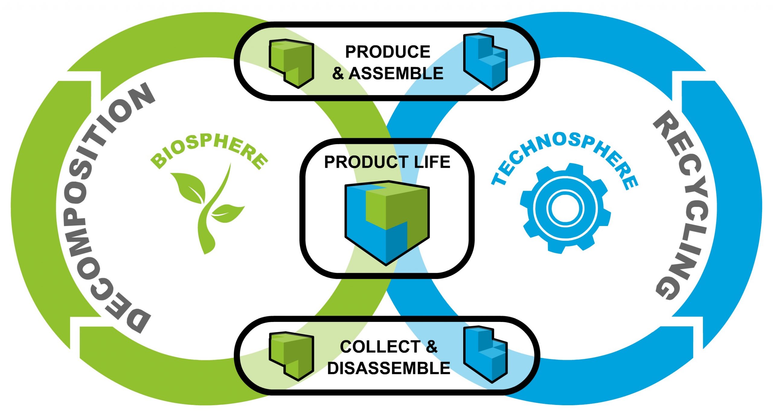 circular economy